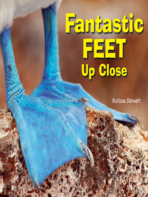 Title details for Fantastic Feet Up Close by Melissa Stewart - Wait list